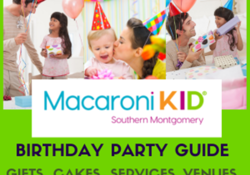 birthday party guide