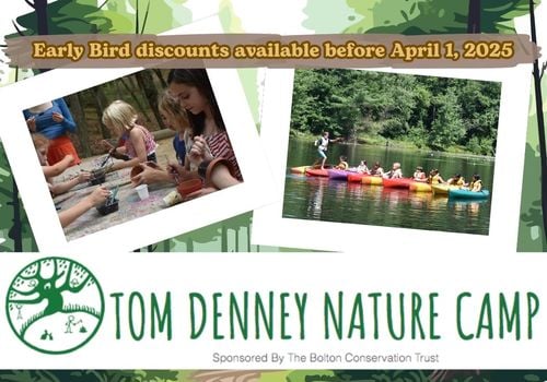 Photos of kids outside at Tom Denney Nature Camp - text reads Early Bird discounts available before April 1, 2025