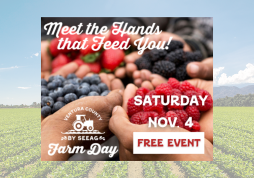 11th Ventura Co Farm Day, November 4th