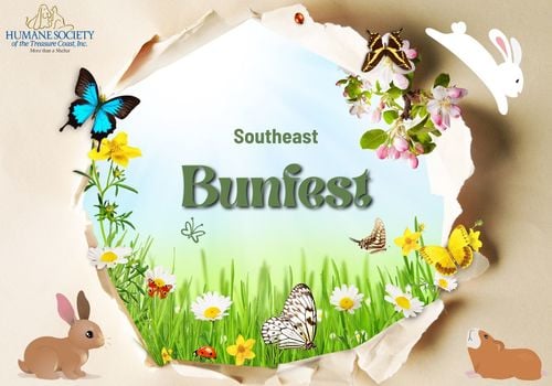 butterflies, bunnies and furry creatures around a circular image of field flowers, grass, etc.