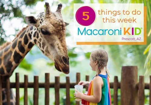 A little girl feeds a giraffe.