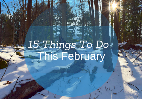 15 Things to do