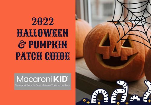 2022 halloween pumpkin patch guide (1) 