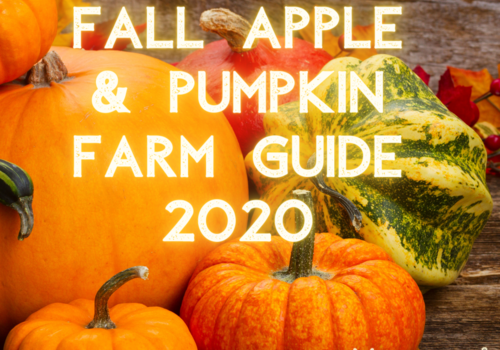 Chicagoland pumpkin farm guide