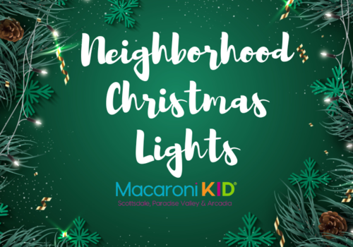 Neighborhood Christmas Lights 