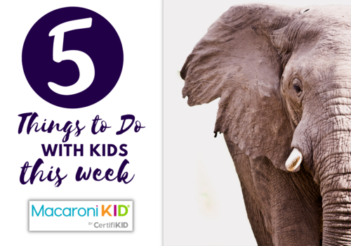 5 things to do with kids this week -- elephant