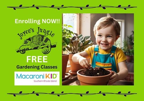 jj Growing Gardeners via Canva 