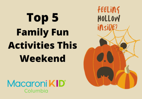 family fun things to do in Columbia SC