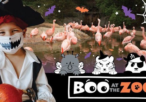 Boo At Zoo Atlanta