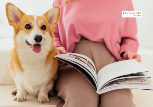 reading to a dog