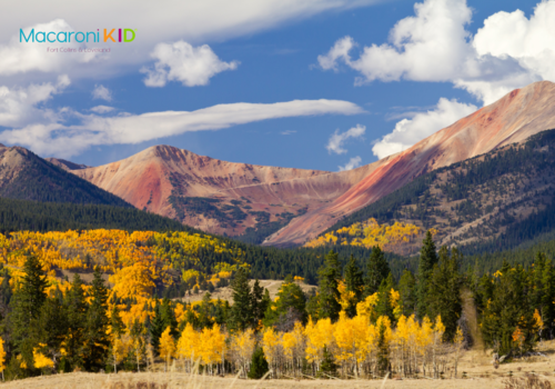 Colorado Landscape Fall Landscape