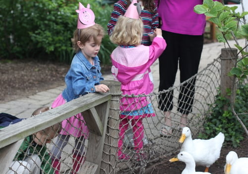 Cosley Zoo Birthday Party | Wheaton, IL Park District