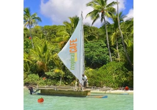 sailboat in tropical place