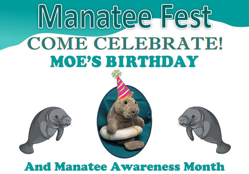Manatee Center Manatee Fest Poster