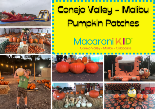 Photos of variety of pumpkins, inflatables and kid holding a pumpkin atConejo Valley - Malibu Pumpkin Patches