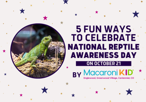 5 Fun Ways to Celebrate National Reptile Awareness Day
