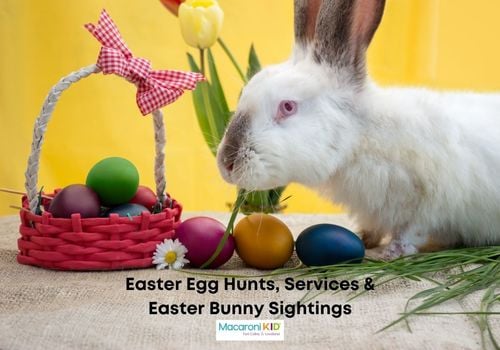 Easter Egg Hunts, Services, and Easter Bunny Sightings