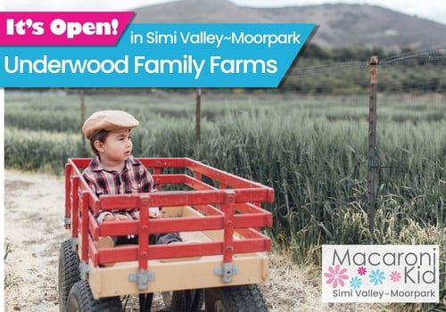 It's Open in Simi Valley and Moorpark! Underwood Family Farms. Photo of young boy in red wagon parked in the middle of a clearing in a field.
