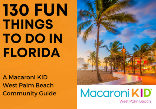 130 Fun Things to Do in Florida