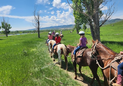 childrne on a trail ride at Sagebrush Stables summer camp