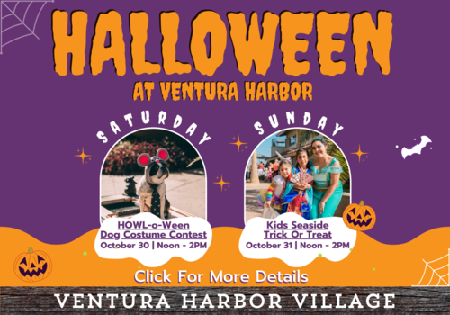 Halloween at Ventura Harbor