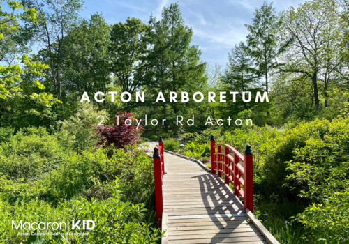 Acton Arboretum