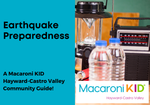 Earthquake Preparedness Guide