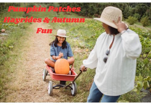 Pumpkin Patches, Hayrides, Autumn Fun, Family Friendly, Corn Mazes, Haunted Trails, Fall Fun