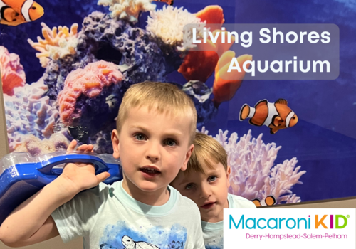 Living Shores Aquarium Article 2022