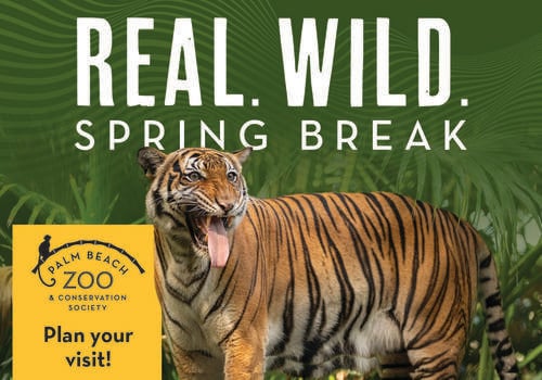Spring Break with Palm Beach Zoo & Conservation Society