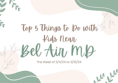 Top 5 Things to do with Kids 3/4/24