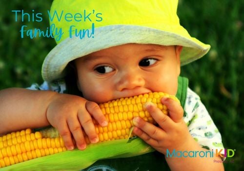 Little boy eating fresh ear of corn.