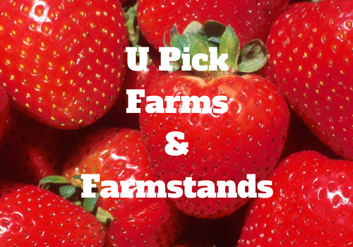 U Pick Farms and Farmstands in Placer and El Dorado County