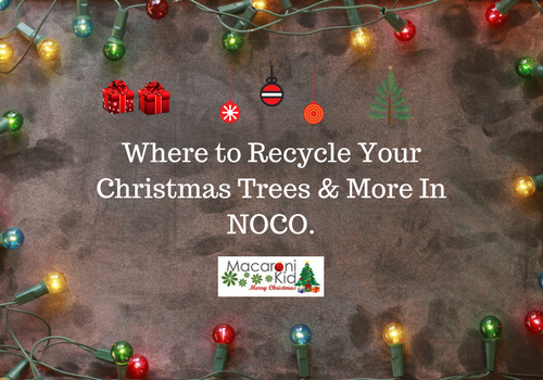 Where To Recycle Your Christmas Trees & More In NOCO