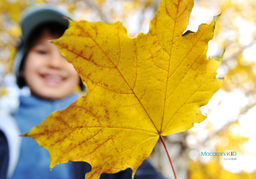 fall fun with families