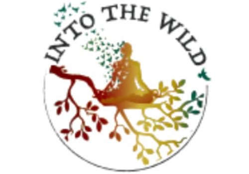 Into the Wild, addiction treatment services, recovery, NA, AA, women's recovery, IOP, drugs, alcohol