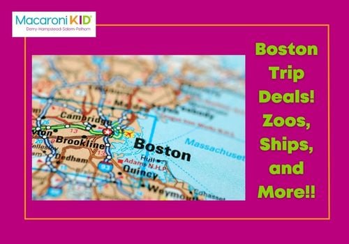 Deals in Boston for Zoos, Ship Museums, Sports, and Dino Safari