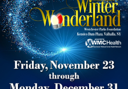 Westchester's Winter Wonderland 2018