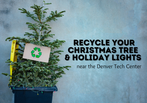 Recycle your Christmas tree and holiday lights