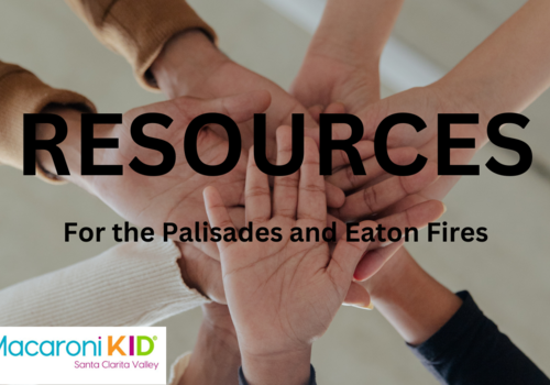 RESOURCES for the palisades and eaton fires