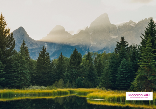 Grand Teton National Park View