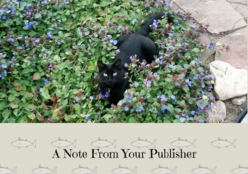 A Note From Your Publisher - Salute to Furby