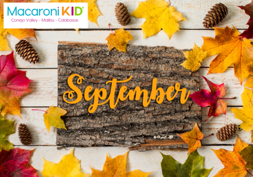 September with fall background of bark, fall colored leaves of gold and red with small pinecones