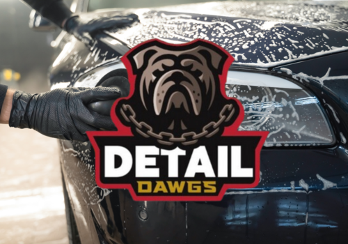 Person handwashing car exterior with Detail Dawgs logo
