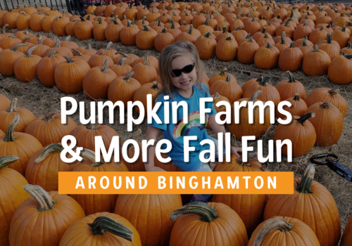 Pumpkin Farms and Family Fall Fun Binghamton