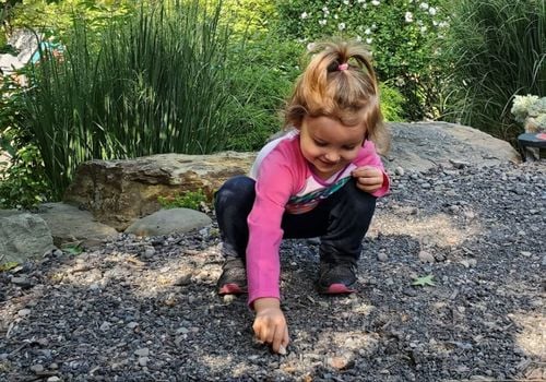 Little Explorers Nature Play Program at Ross Park Zoo