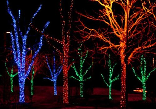 Christmas lights at the North Carolina Arboretum