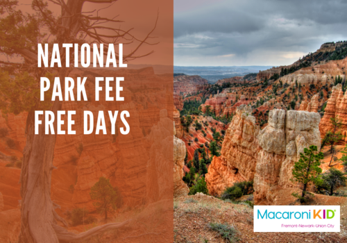 Free Days at National Parks in 2023, Plus 3 Tips On Visiting With Kids