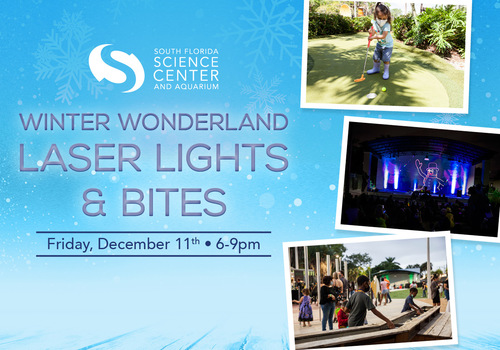 Winter Wonderland Laser Lights and Bites at South Florida Science Center
