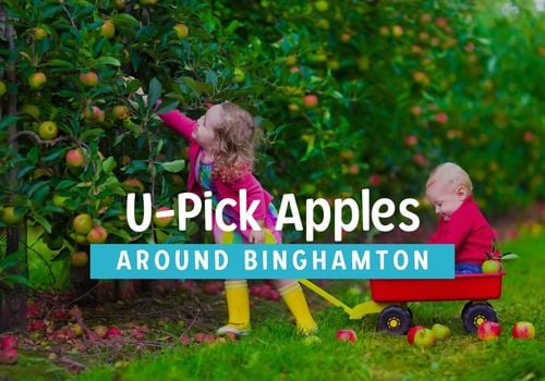 Apple Picking Farms in Binghamton